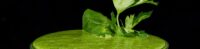green detox